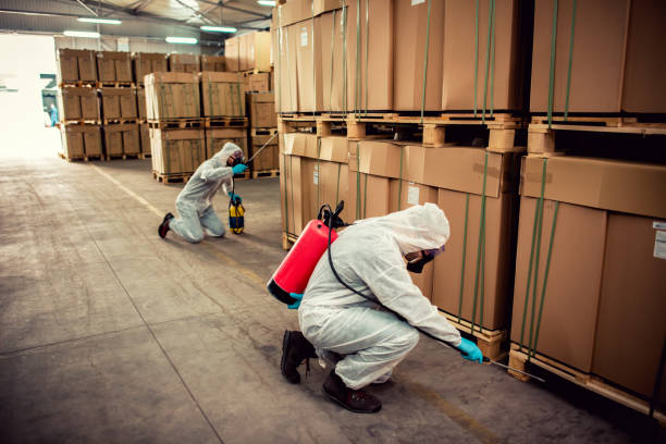 Best Cockroach Control Services  in Norwalk, CA