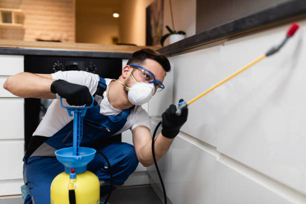 Best Mosquito Control Services  in Norwalk, CA