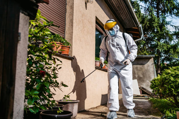 Best Pest Control Treatment  in Norwalk, CA