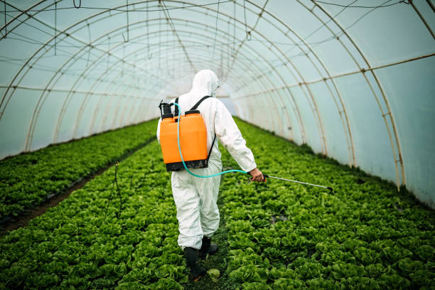 Pest Control Cost in Norwalk, CA