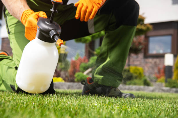 Best Affordable Pest Control Services  in Norwalk, CA