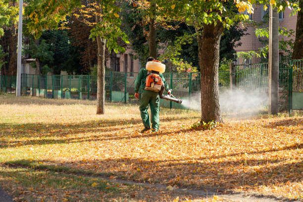 Professional Pest Control in Norwalk, CA