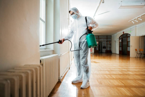 Best Termite Control Services  in Norwalk, CA