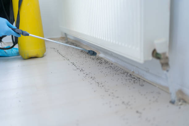 Best Best Pest Control Companies  in Norwalk, CA