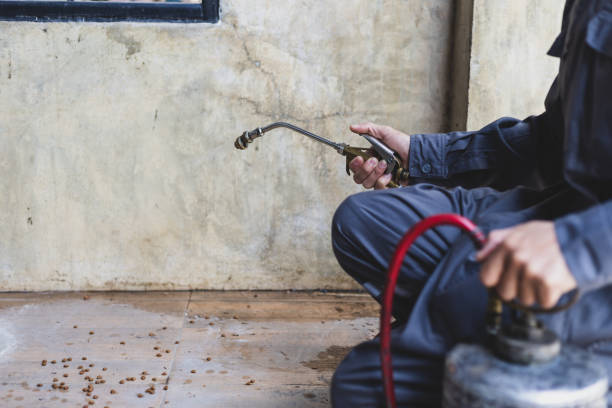 Best Residential Pest Control  in Norwalk, CA